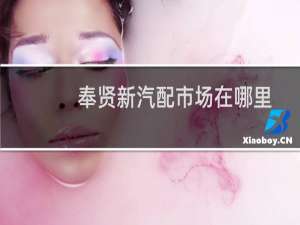 奉贤新汽配市场在哪里