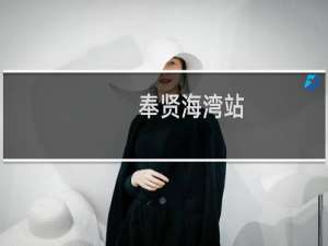 奉贤海湾站