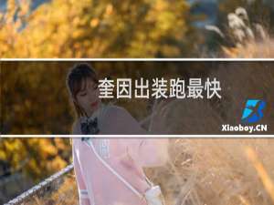 奎因出装跑最快