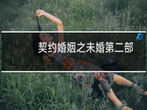 契约婚姻之未婚第二部