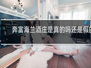 奔富海兰酒庄是真的吗还是假的
