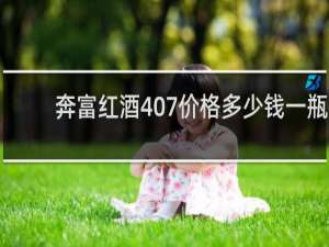 奔富红酒407价格多少钱一瓶