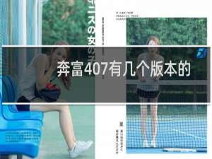 奔富407有几个版本的