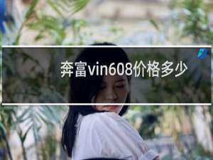 奔富vin608价格多少