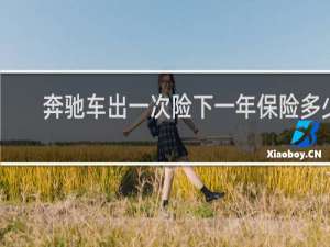 奔驰车出一次险下一年保险多少