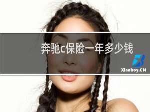 奔驰c保险一年多少钱