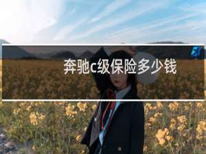 奔驰c级保险多少钱