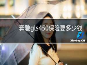 奔驰gls450保险要多少钱