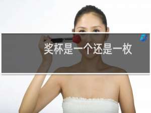 奖杯是一个还是一枚