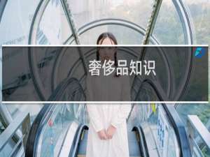 奢侈品知识