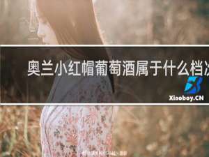奥兰小红帽葡萄酒属于什么档次