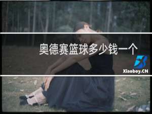 奥德赛篮球多少钱一个