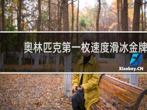 奥林匹克第一枚速度滑冰金牌