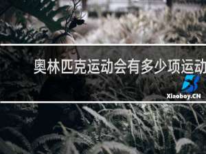 奥林匹克运动会有多少项运动