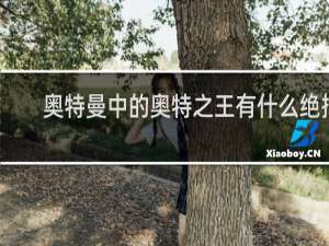 奥特曼中的奥特之王有什么绝招
