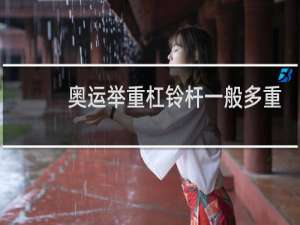 奥运举重杠铃杆一般多重
