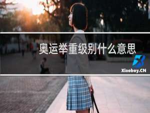 奥运举重级别什么意思