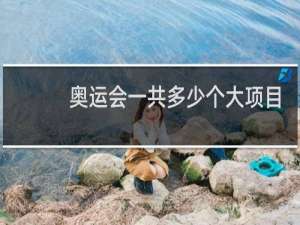奥运会一共多少个大项目