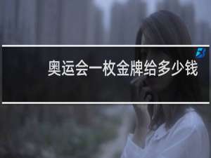 奥运会一枚金牌给多少钱