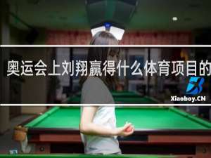 奥运会上刘翔赢得什么体育项目的金牌