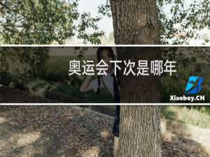 奥运会下次是哪年