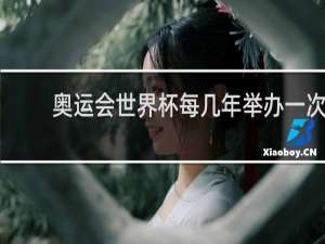 奥运会世界杯每几年举办一次