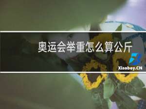 奥运会举重怎么算公斤