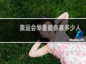 奥运会举重能参赛多少人