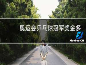 奥运会乒乓球冠军奖金多少钱