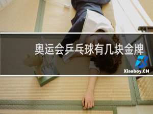 奥运会乒乓球有几块金牌