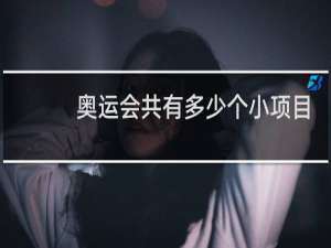 奥运会共有多少个小项目