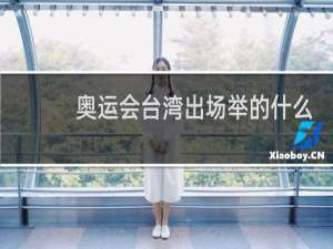 奥运会台湾出场举的什么