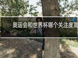 奥运会和世界杯哪个关注度高