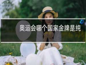 奥运会哪个国家金牌是纯金的