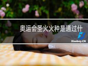 奥运会圣火火种是通过什么采集的