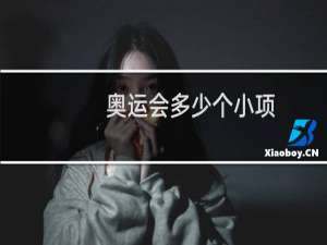 奥运会多少个小项
