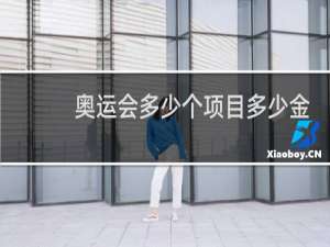 奥运会多少个项目多少金牌东京