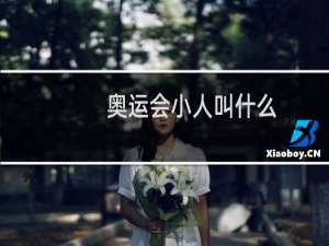 奥运会小人叫什么