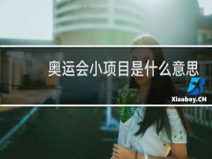 奥运会小项目是什么意思