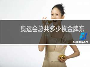 奥运会总共多少枚金牌东京