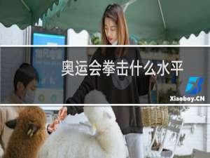 奥运会拳击什么水平