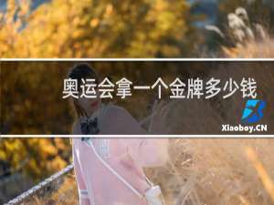 奥运会拿一个金牌多少钱