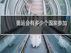 奥运会有多少个国家参加东京