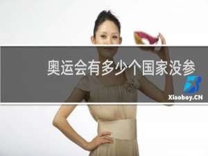 奥运会有多少个国家没参加