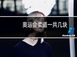 奥运会柔道一共几块