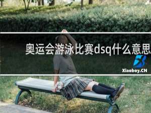 奥运会游泳比赛dsq什么意思