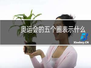 奥运会的五个圈表示什么