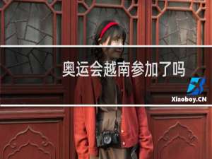 奥运会越南参加了吗