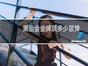 奥运会金牌顶多少银牌