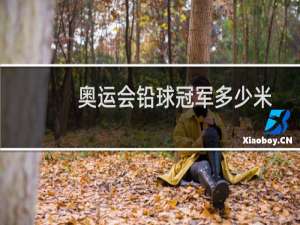 奥运会铅球冠军多少米